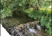 Land with ruins for rent in Redondela ref: TR381452 photo