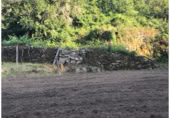 Land with ruins for rent in Redondela ref: TR381452 photo
