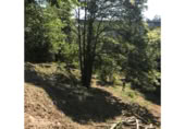 Land with ruins for rent in Redondela ref: TR381452 photo