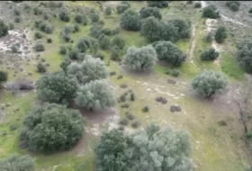 La Torre de Esteban Hambrán 21000&nbsp;m² 