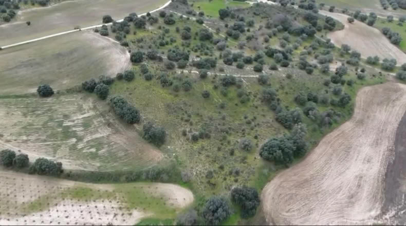 Toledo - La Torre de Esteban Hambrán - 21000m2