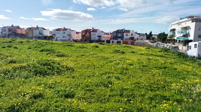 Malaga - Vélez-Málaga - 4000m2