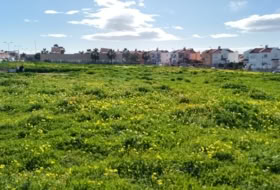 Vélez-Málaga 4000&nbsp;m²
