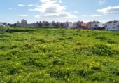 Suelo urbano en venta en la Calle Aloe Vera, Vélez-Málaga, ref: TR381578 foto