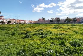Vélez-Málaga 4000&nbsp;m²
