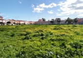 Suelo urbano en venta en la Calle Aloe Vera, Vélez-Málaga, ref: TR381578 foto