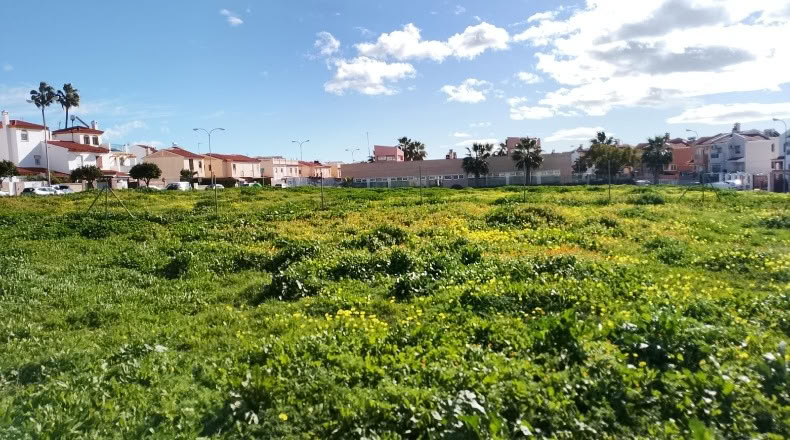 Malaga - Vélez-Málaga - 4000m2