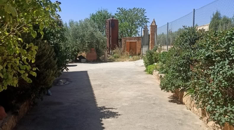 Granada - Huéscar - 12000m2