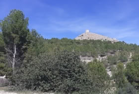 Foto 3