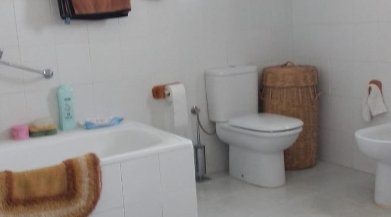 Sevilla - Peñaflor - 260000m2