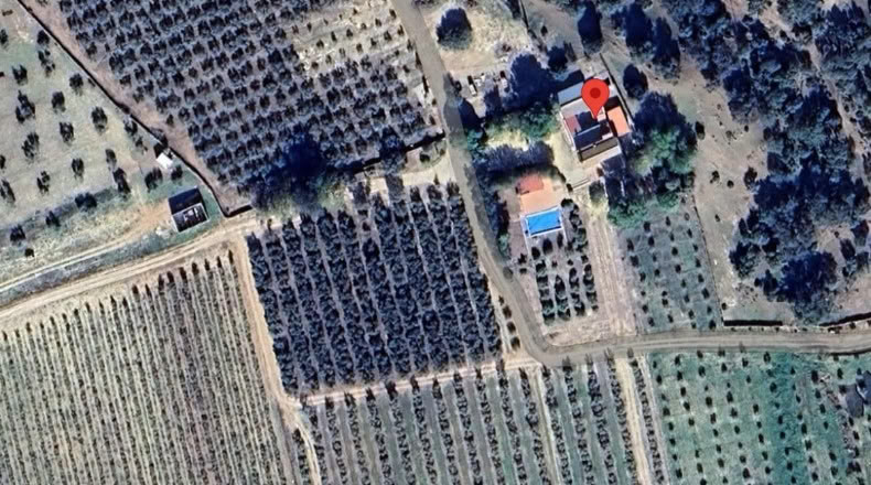 Sevilla - Peñaflor - 260000m2
