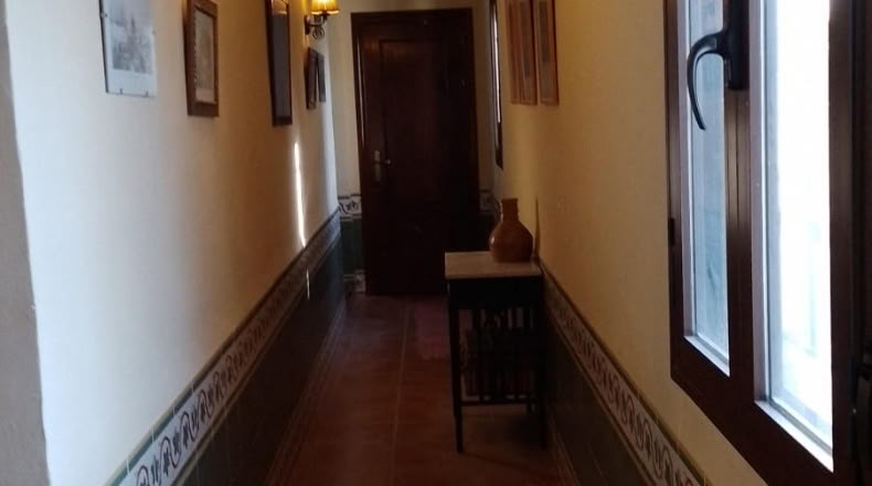 Sevilla - Peñaflor - 260000m2