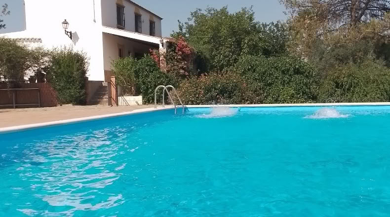 Sevilla - Peñaflor - 260000m2