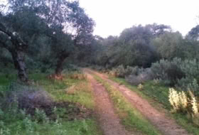 Peñaflor 160000&nbsp;m²