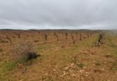 Terreny en venda a la N-430, Torralba de Calatrava, ref.: TR381806 foto