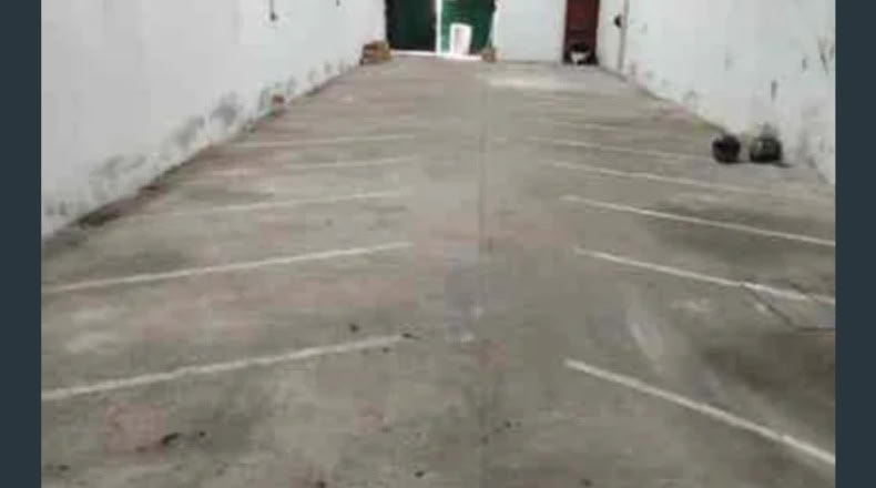 Sevilla - Sevilla - 250m2