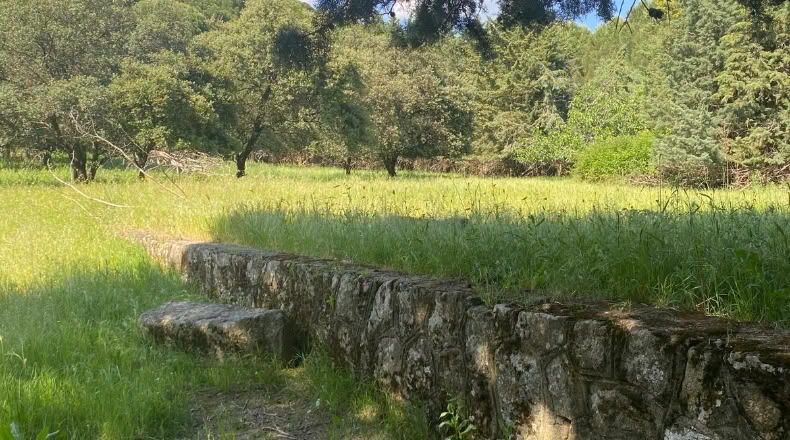 Ávila - Sotillo de la Adrada - 10000m2