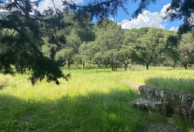 Sotillo de la Adrada 10000&nbsp;m² 