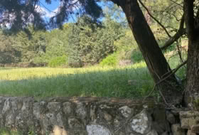 Sotillo de la Adrada 10000&nbsp;m² 