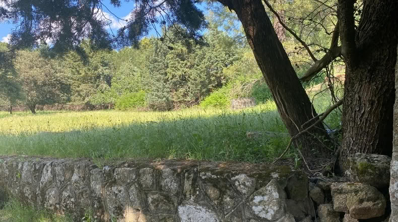 Ávila - Sotillo de la Adrada - 10000m2