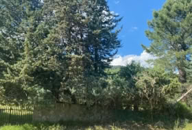 Sotillo de la Adrada 10000&nbsp;m² 