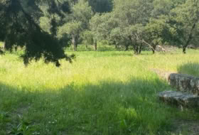 Sotillo de la Adrada 10000&nbsp;m² 