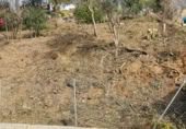 Terreno no urbanizable en venta en la Carrer dels Eucaliptus, Corbera de Llobregat, ref: TR382614 foto