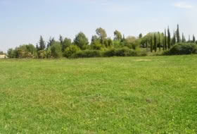 Mairena del Aljarafe 16000&nbsp;m² 