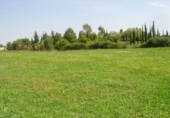 Non-developable land for sale on Urb Las Tinajas. MAIRENA DEL ALJARAFE. SEVILLA, Mairena del Aljarafe, ref: TR381820 photo