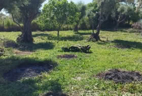 Torralba de Oropesa 154&nbsp;m² 
