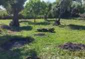 Дом с участком на продажу в городе Torralba de Oropesa Фото