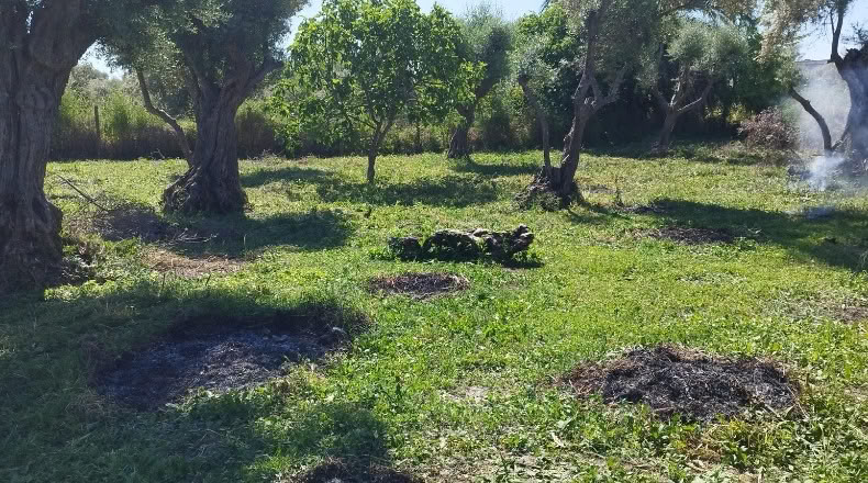 Толедо - Torralba de Oropesa - 154m2