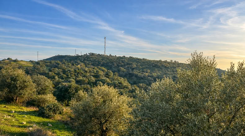 Córdoba - Córdoba - 702780m2