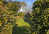 Finca rústica en venda a la NUESTRA SEÑORA DE LINARES FINCA PRADILLOS Y FAJARDA, Còrdova, ref.: TR66692 foto