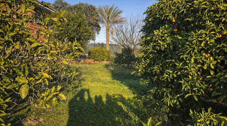 Córdoba - Córdoba - 702780m2