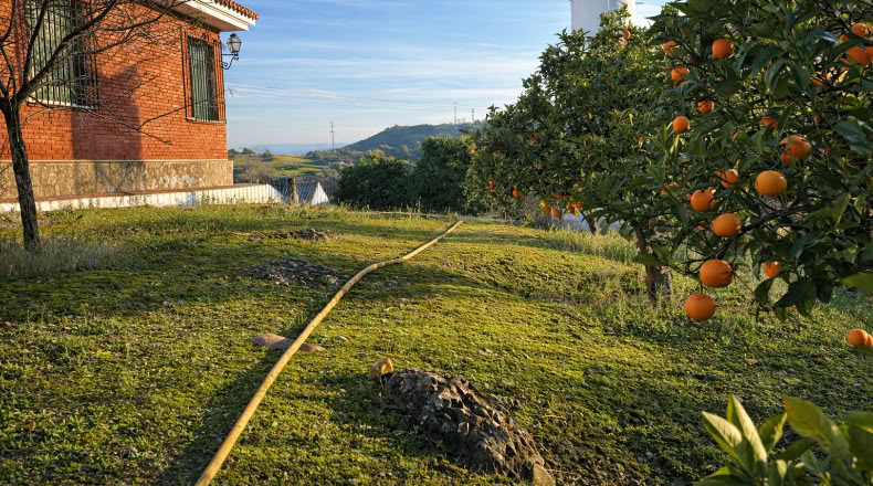 Córdoba - Córdoba - 702780m2