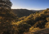 Finca rústica en venda a la NUESTRA SEÑORA DE LINARES FINCA PRADILLOS Y FAJARDA, Còrdova, ref.: TR66692 foto