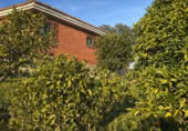 Finca rústica en venda a la NUESTRA SEÑORA DE LINARES FINCA PRADILLOS Y FAJARDA, Còrdova, ref.: TR66692 foto