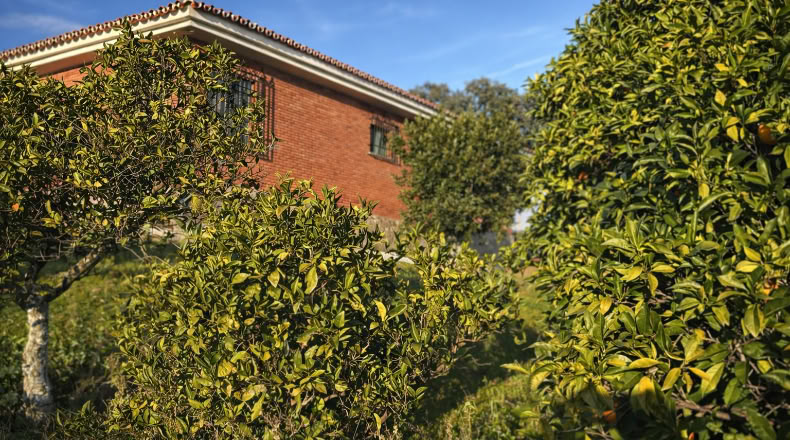 Córdoba - Córdoba - 702780m2