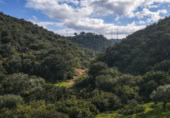 Finca rústica en venda a la NUESTRA SEÑORA DE LINARES FINCA PRADILLOS Y FAJARDA, Còrdova, ref.: TR66692 foto