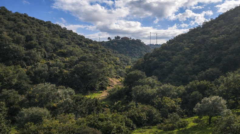 Córdoba - Córdoba - 702780m2