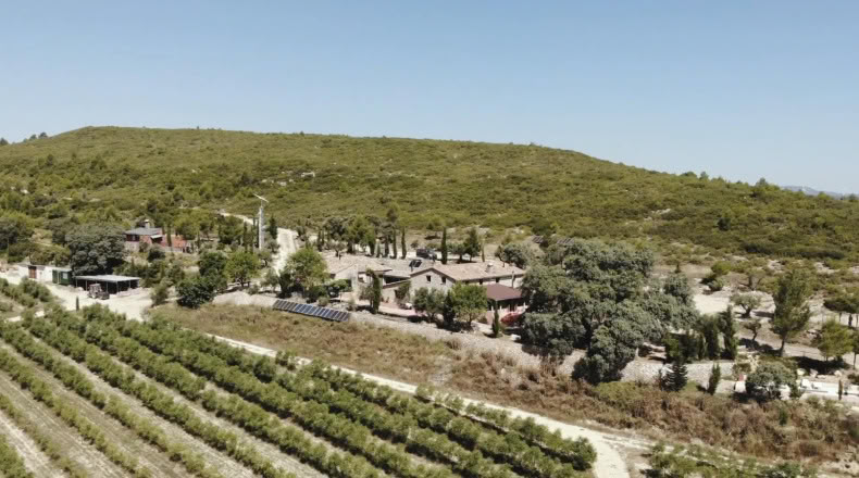 Valencia - Enguera - 390000m2