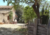 Finca rústica en venta en Enguera ref: TR383018 foto