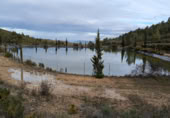 Finca rústica en venta en Enguera ref: TR383018 foto