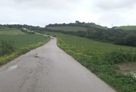 Foto 15