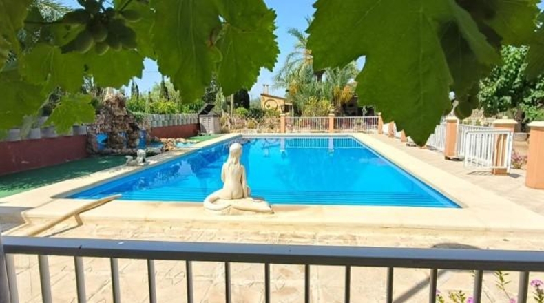 Alicante - Crevillente - 2000m2