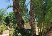 Chalet independiente con terreno en venta en la España, Crevillente, ref: TR388049 foto