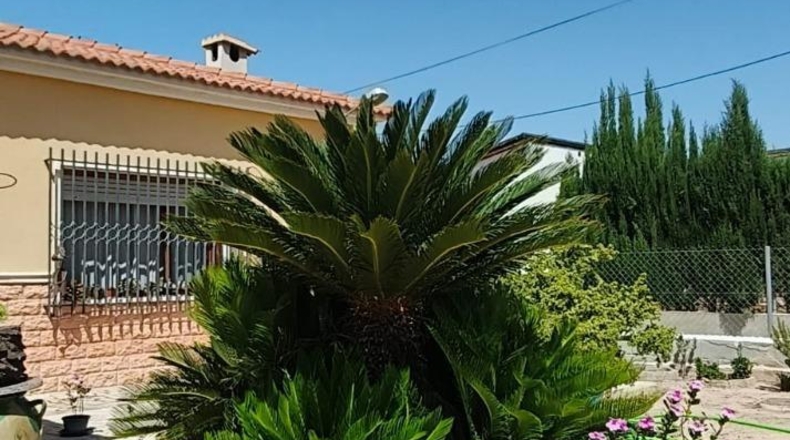 Alicante - Crevillente - 2000m2