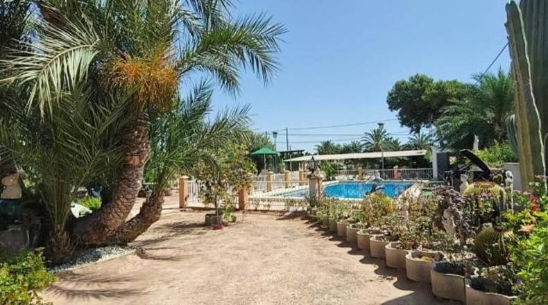 Alicante - Crevillente - 2000m2