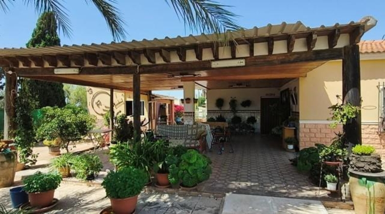 Alicante - Crevillente - 2000m2